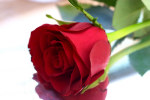Valentines One Night Package