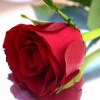 Valentines One Night Package 
